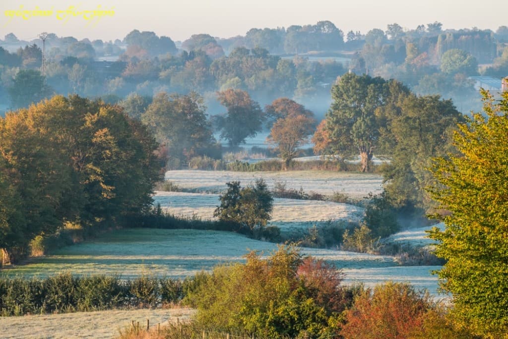 Le grivre dans le bocage -II