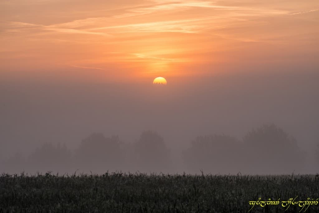 Lumière du bocage -IV