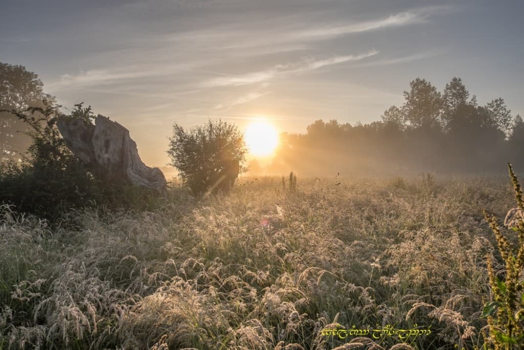 Matutinale brume du jour -III