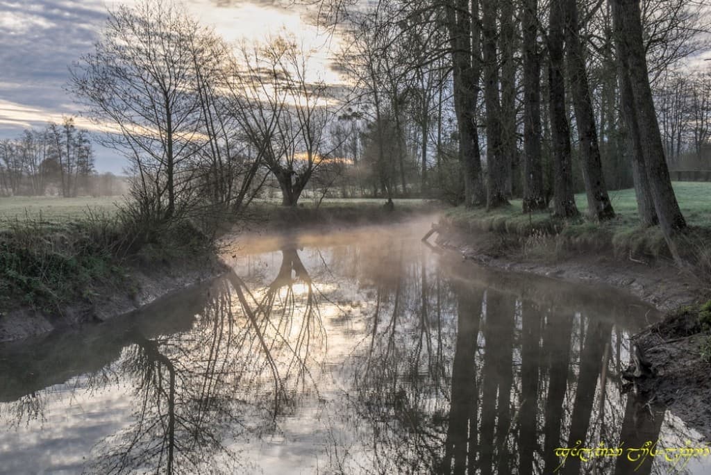 Reflet chargé (bis)