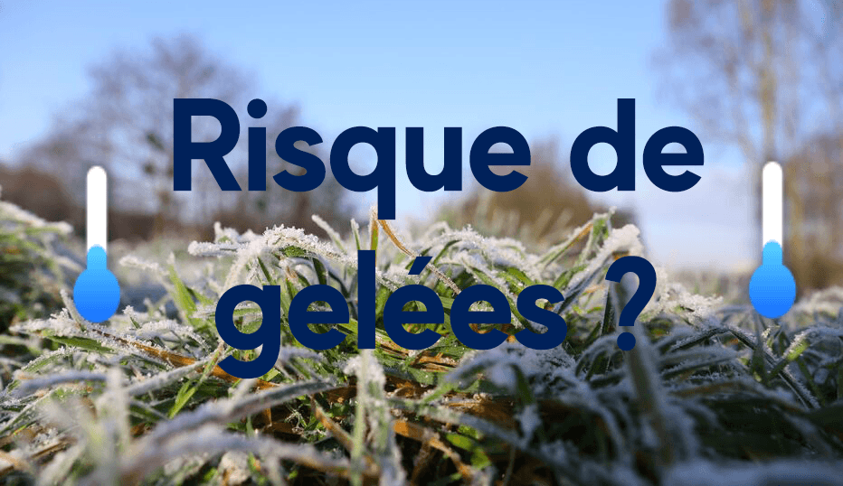 PR VISIONS METEO GRATUITE 15 JOURS visual data 6