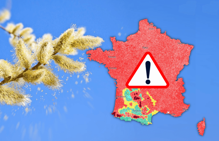 Douceur après les pluies : les pollens explosent en France