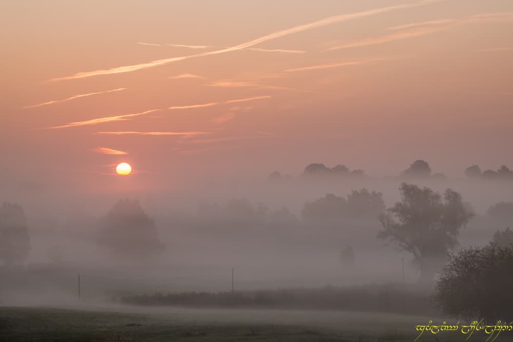 Oh la belle brume !