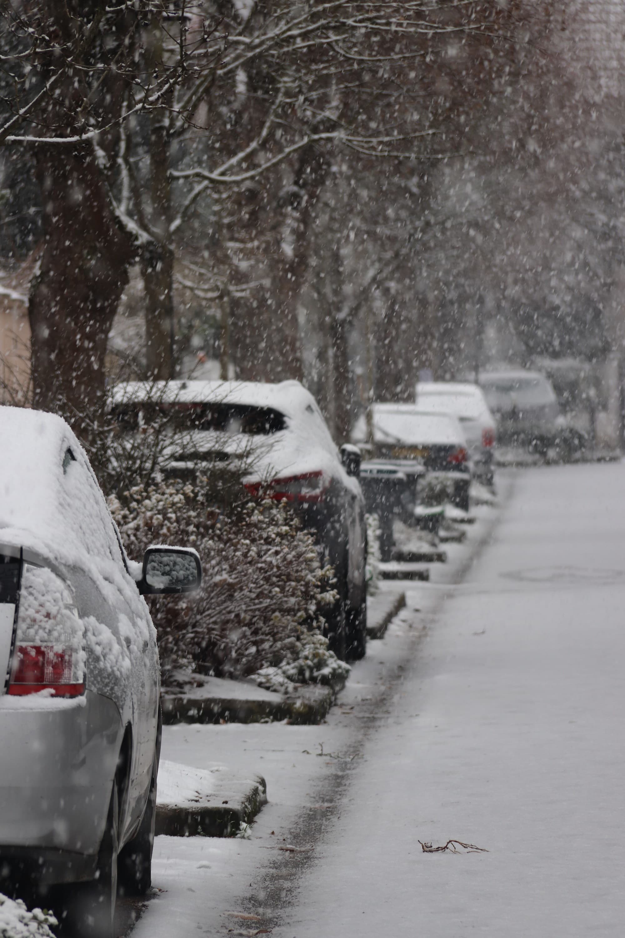 Rue sous la neige à Antony