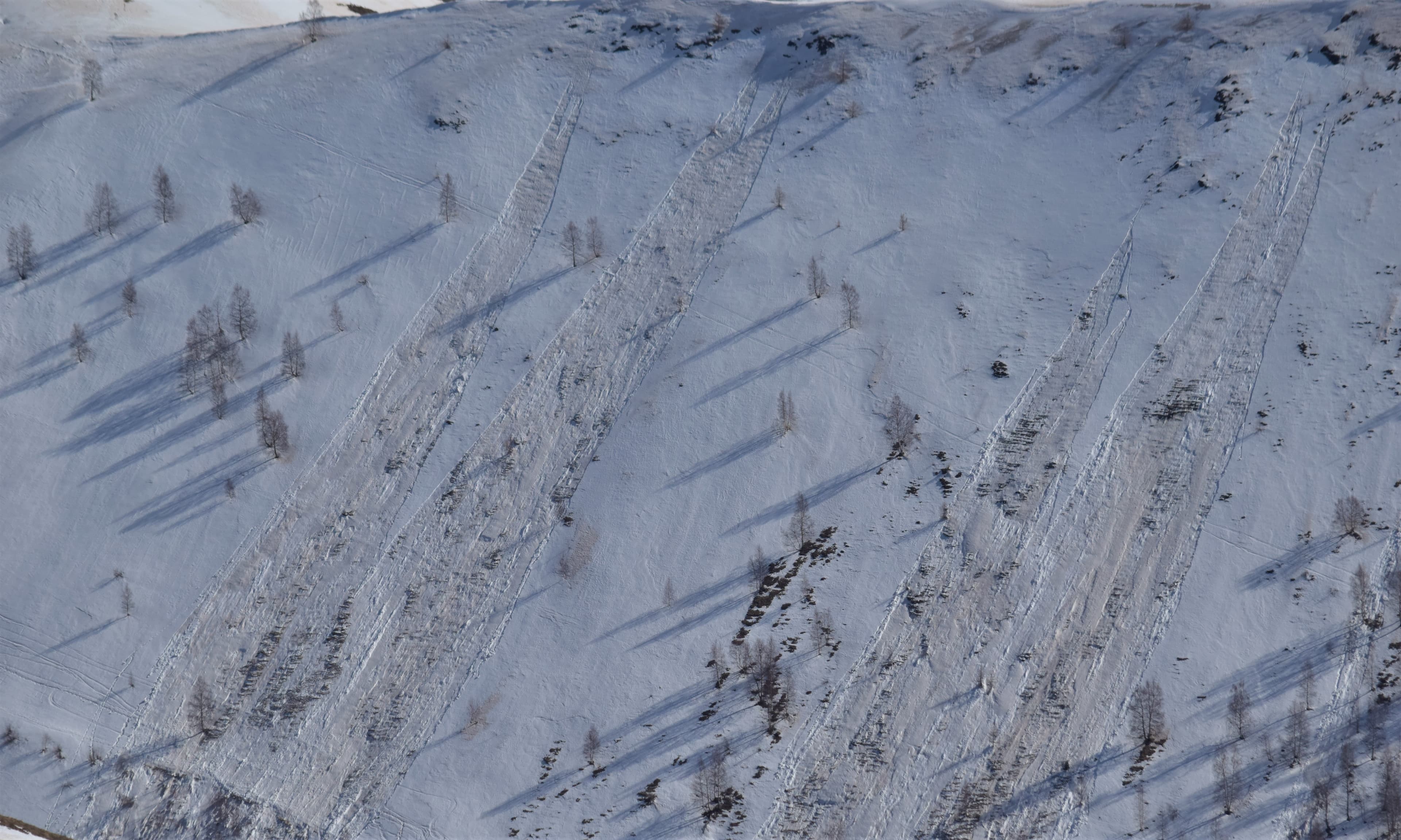 Avalanches de plaques