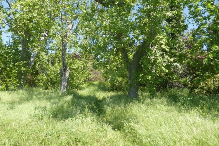 Coin bucolique dans le 9° arrdt, qui sera sans doute massacré par la L2