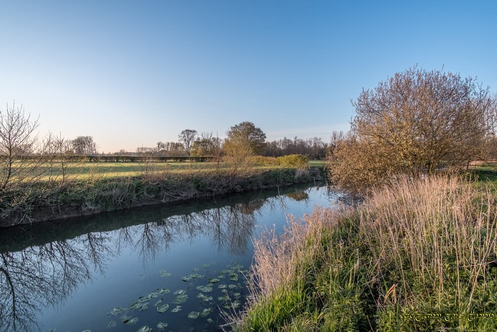 Du bleu près de la rivière