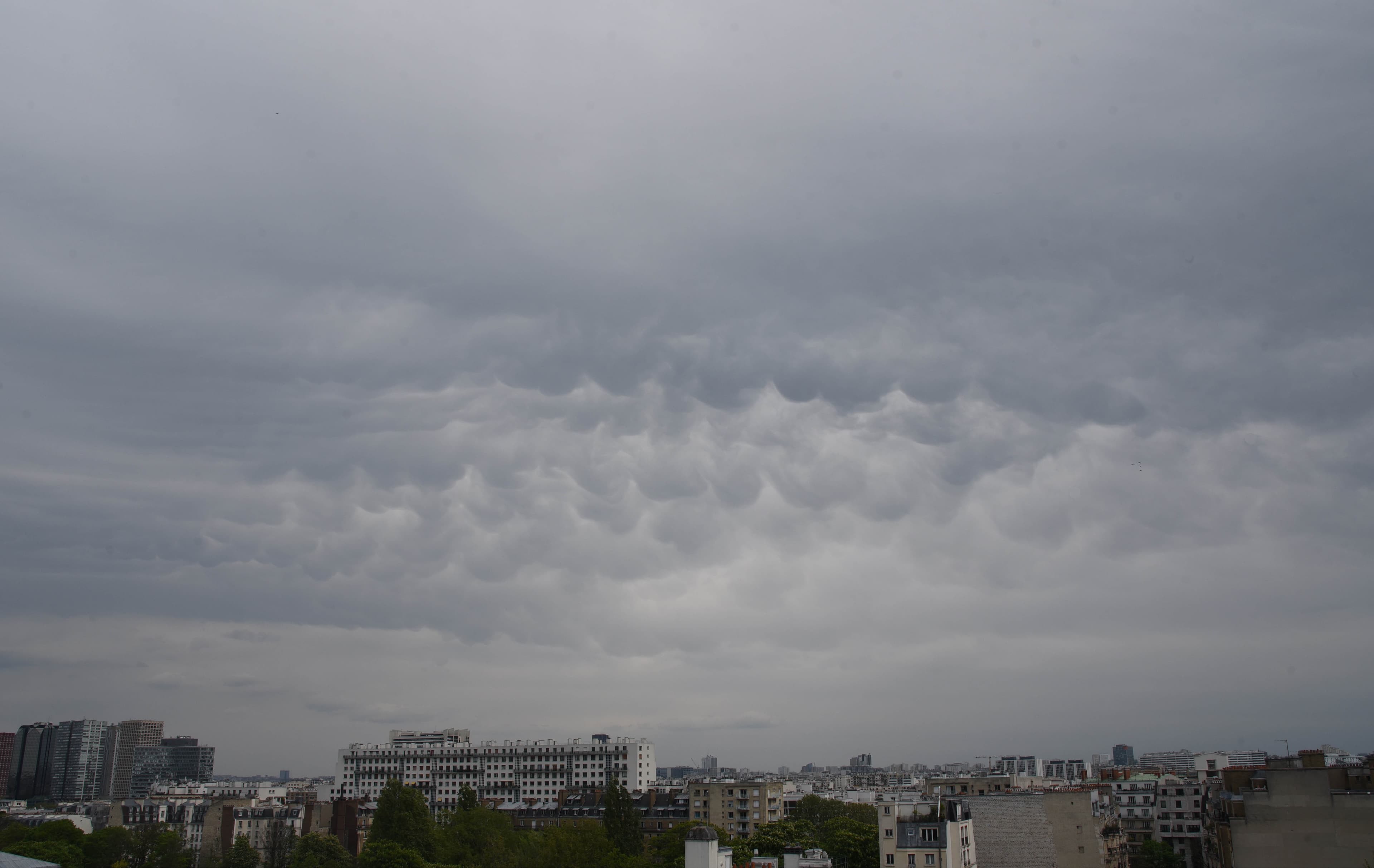 Mammatus parisiens -1