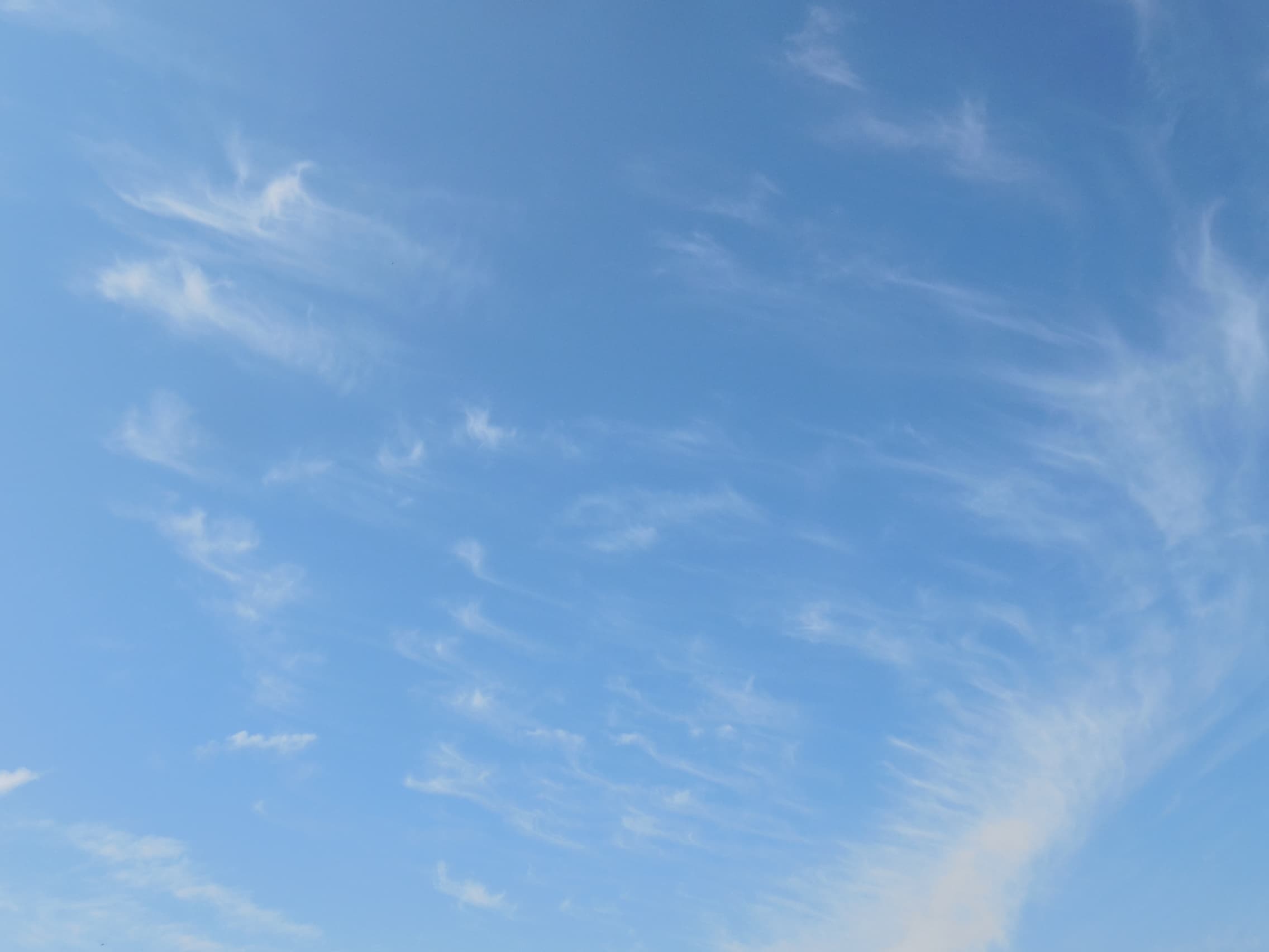 Magnifique ciel bleu et nuages en "queues de cheval"