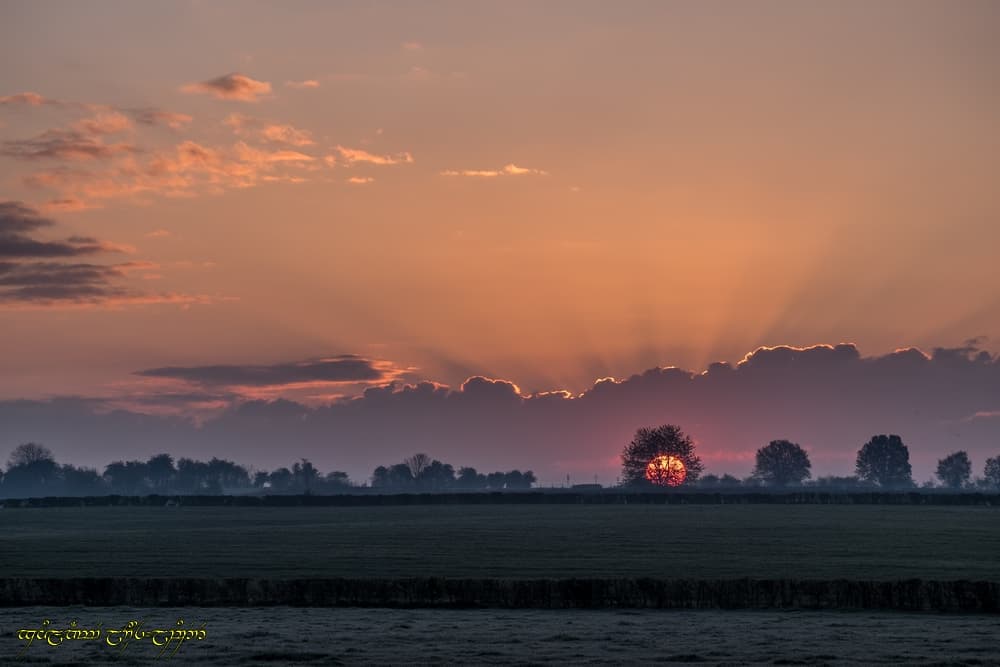 Rayonnant lever