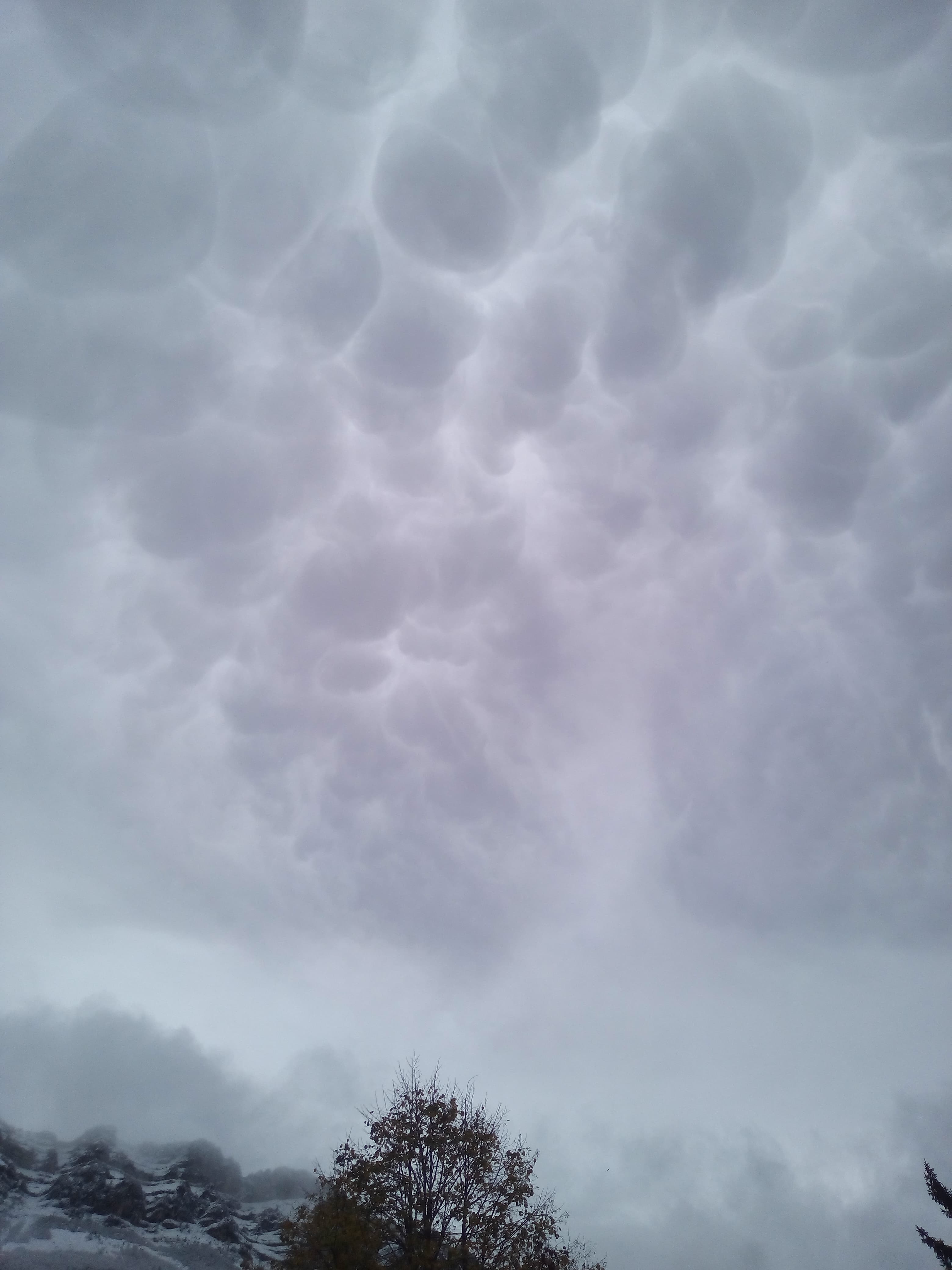 Mammatus