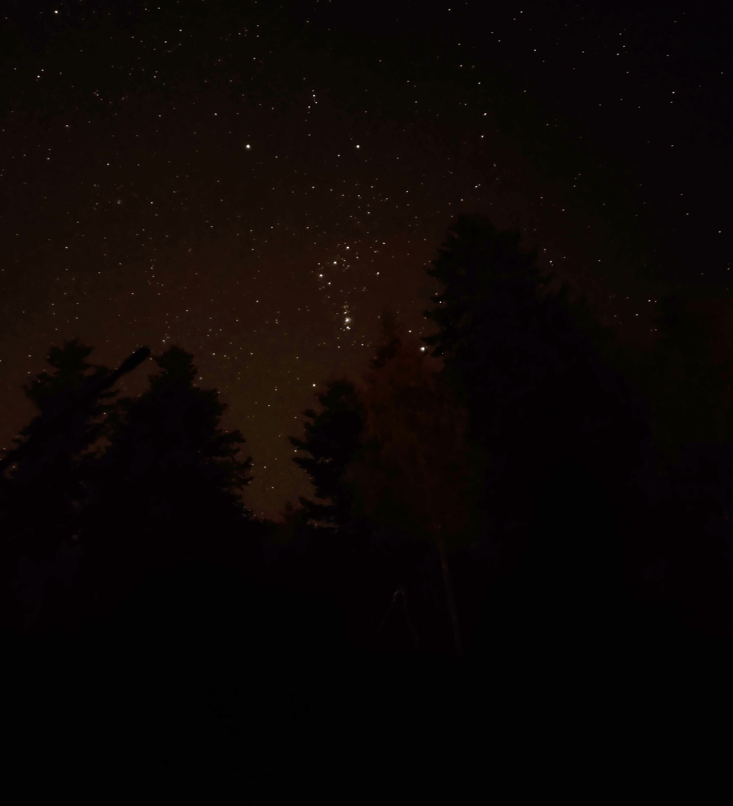 Orion