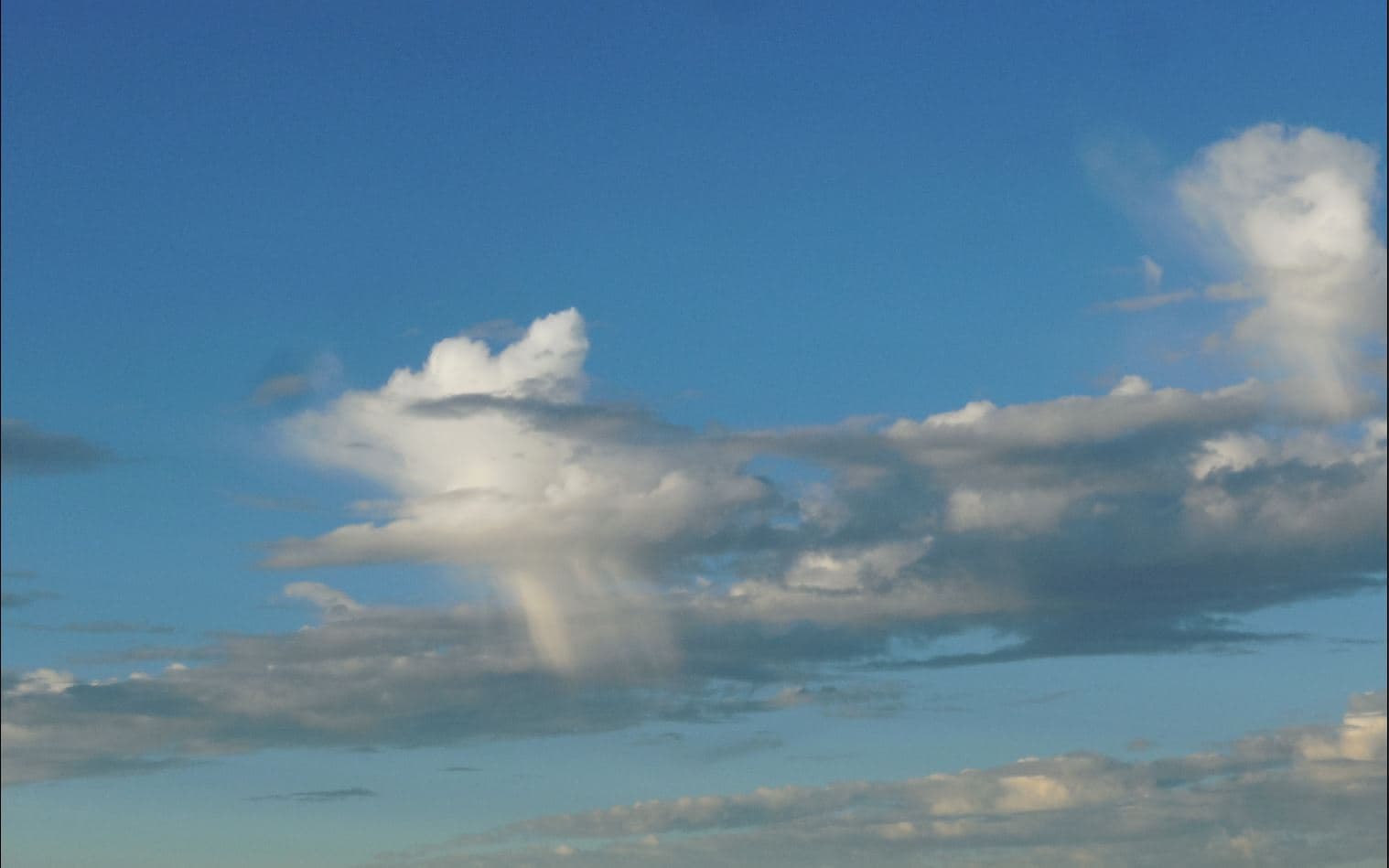 Nuage méduse du matin