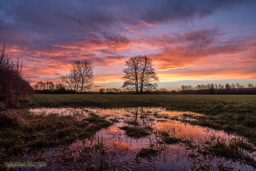Chaud reflet dans la flaque