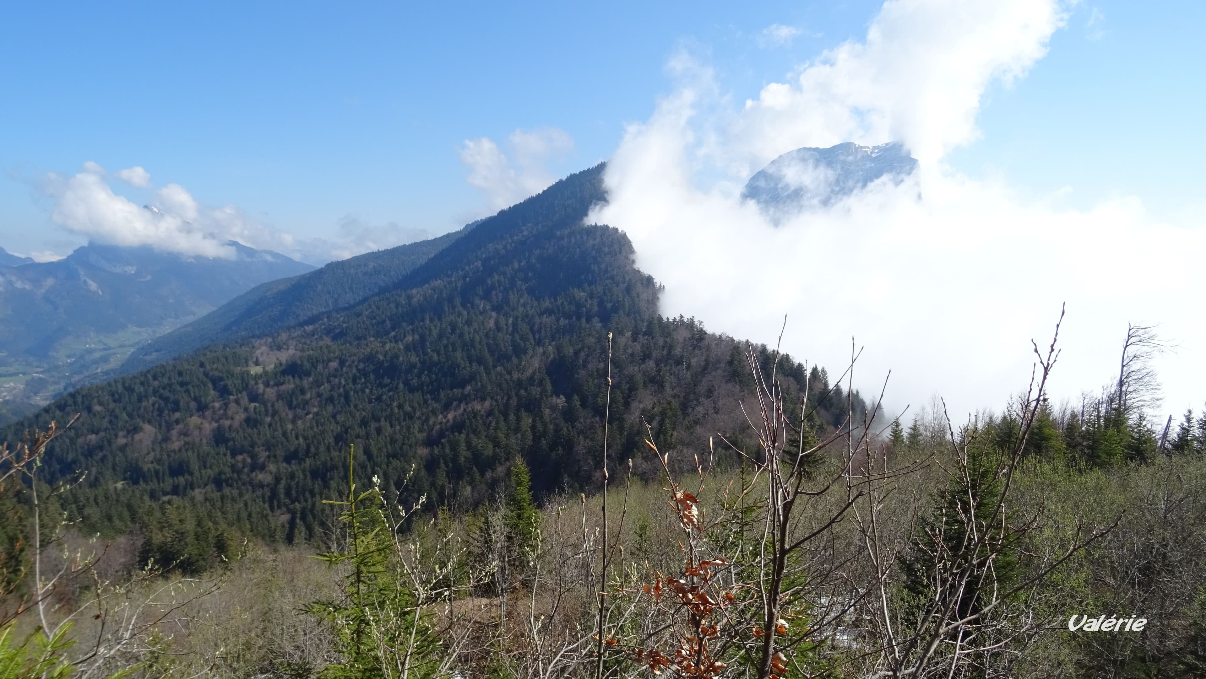 Brume au Bec Charvet