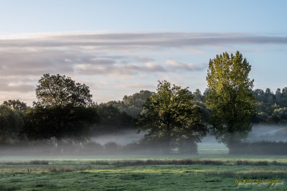 L'automne et la brume