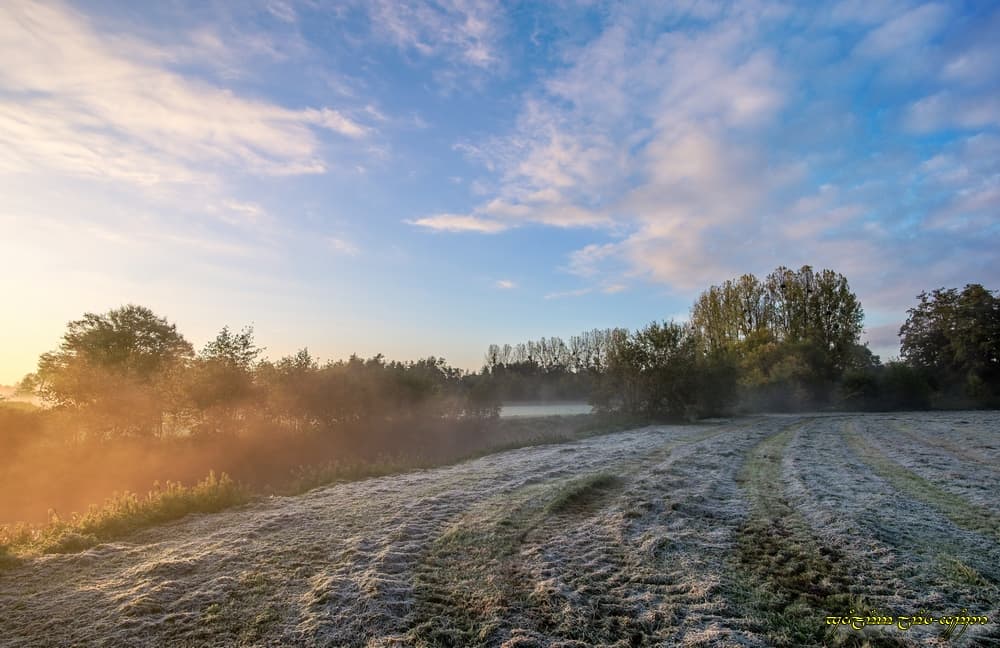 Brume et fraîcheur