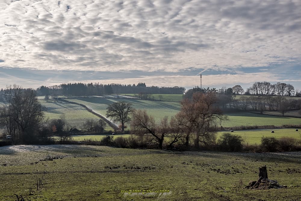 Traces de givre dans la vallée de l'Helpe Majeure