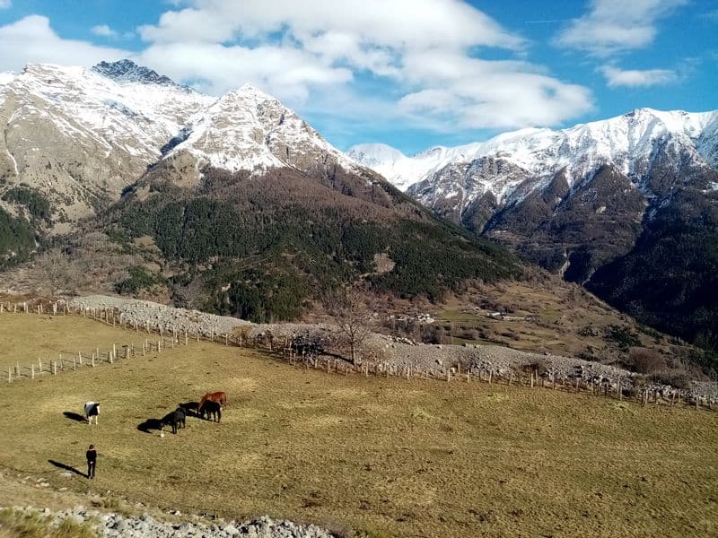 temps printanier( photo pierre Barrillon)