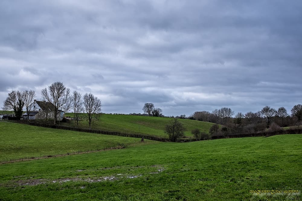 Grisaille mollassonne