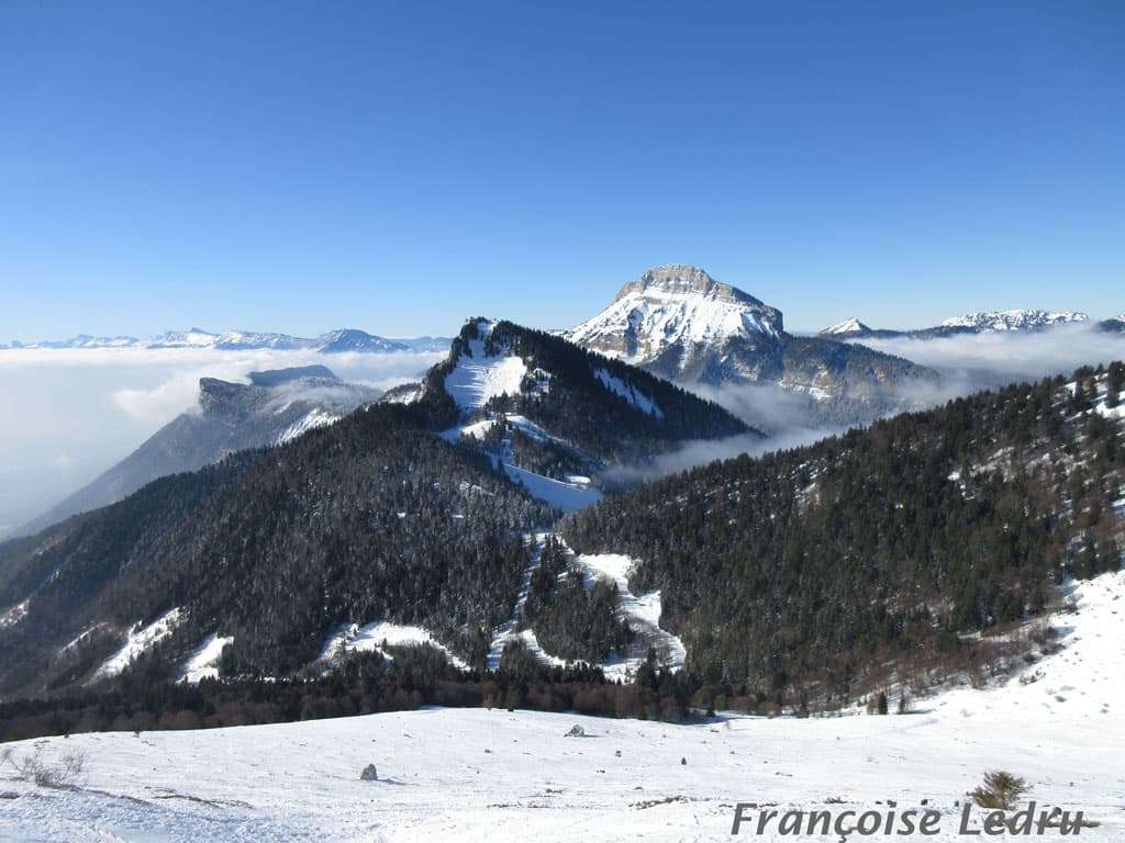 Chartreuse au-dessus de la mer de nuage