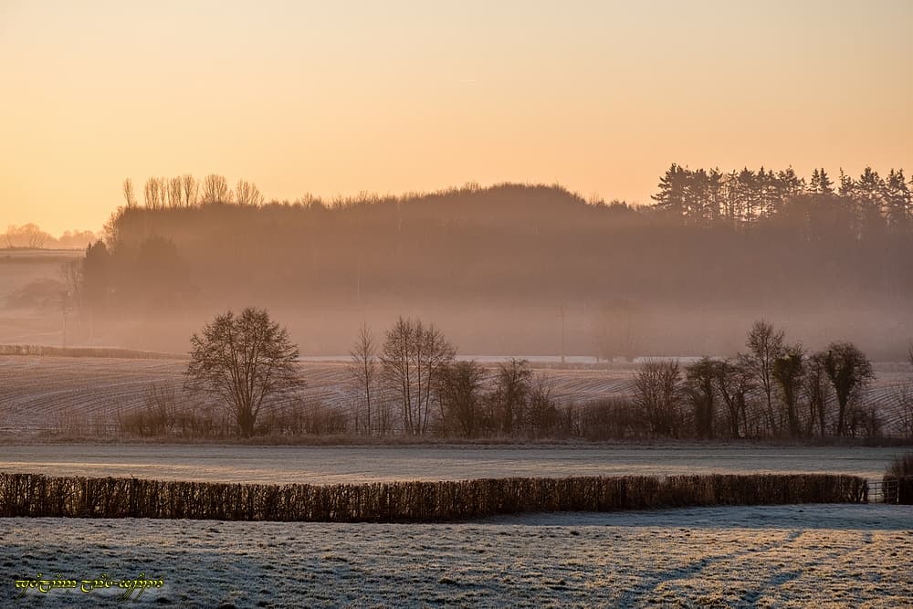 Des strates dans le bocage