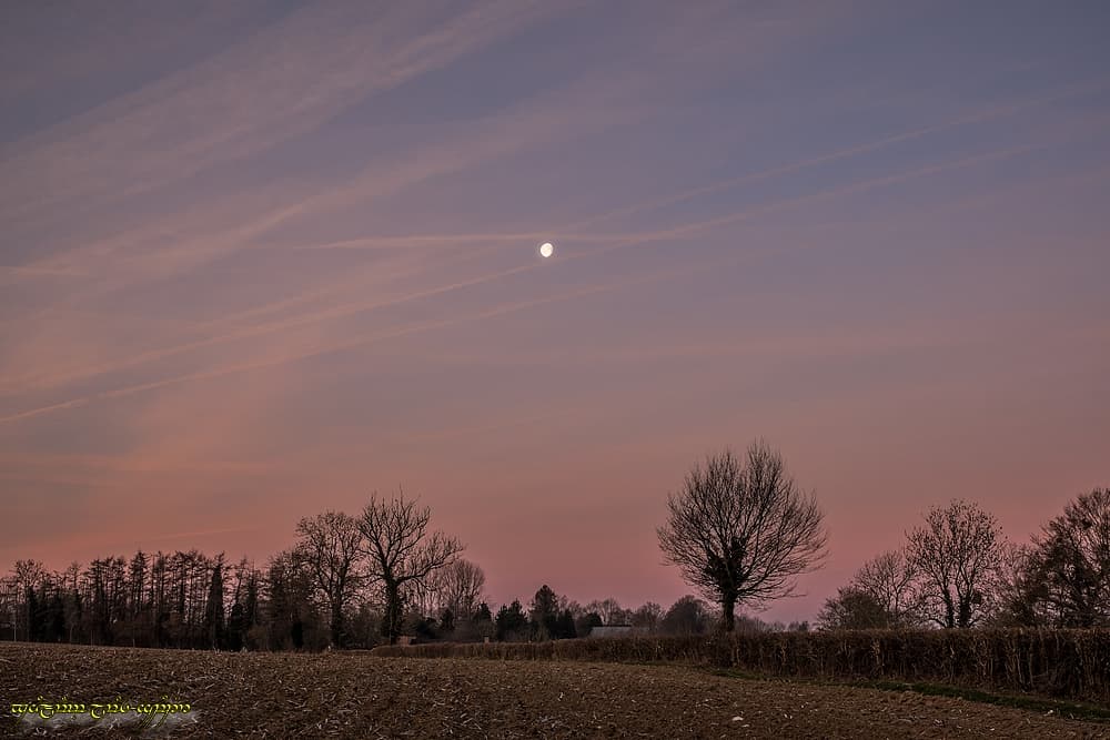 Rose et fraîche Lune