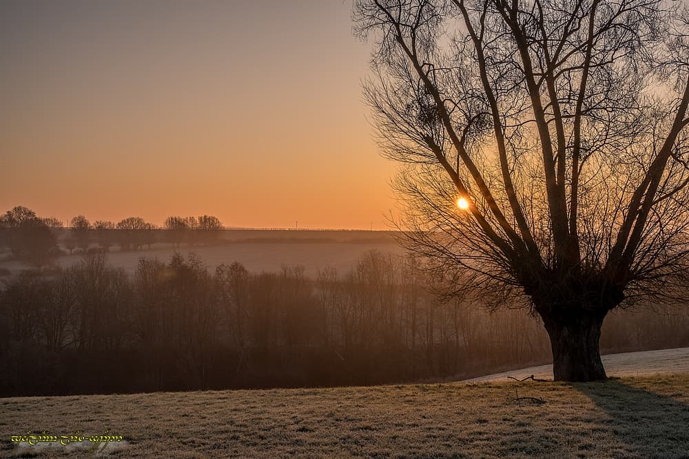 Décor givré au lever