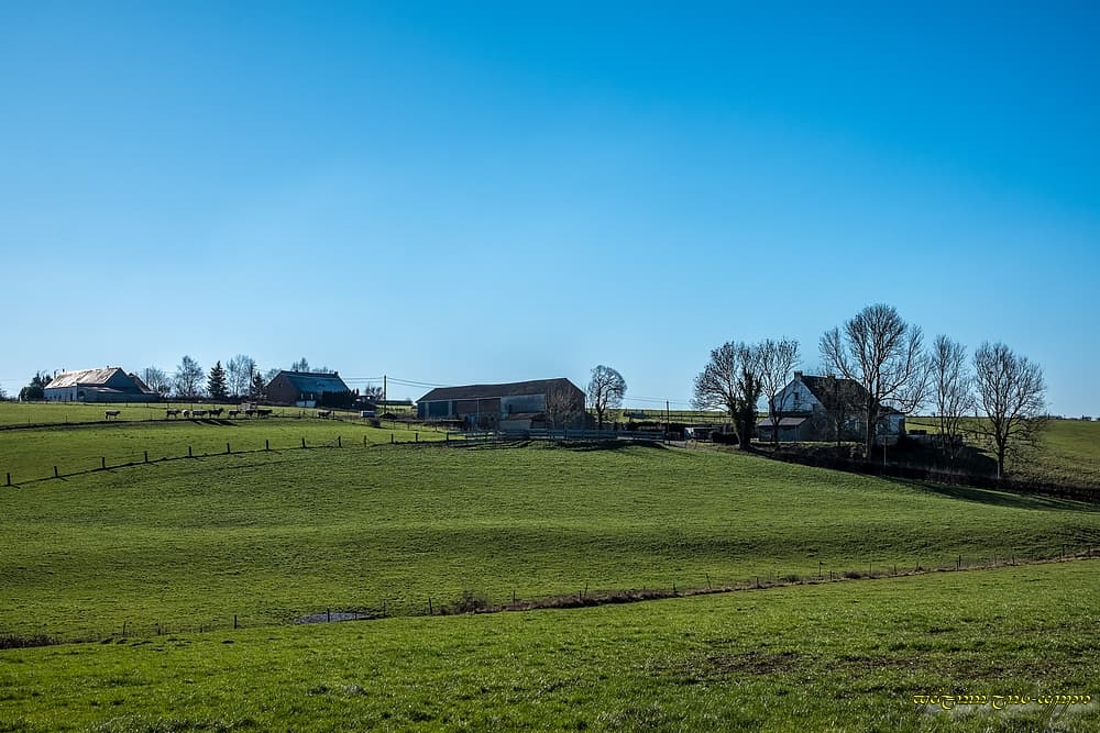 Ensoleillé mais froid, désormais