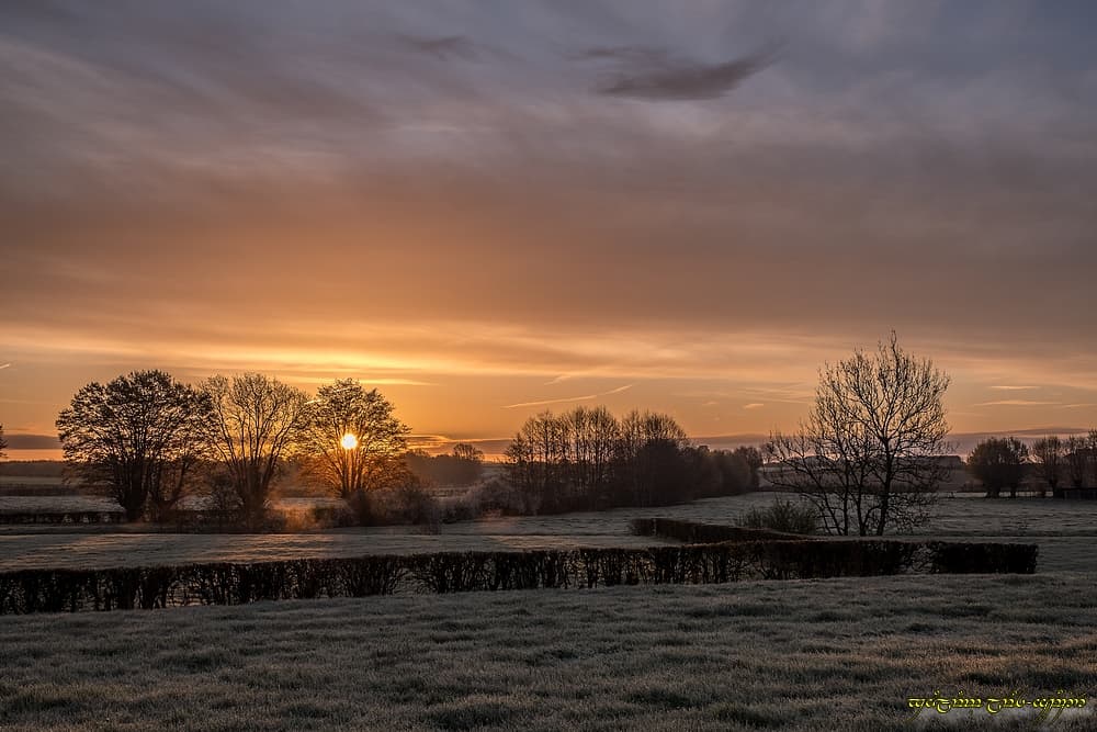 Lumière sur le bocage givré