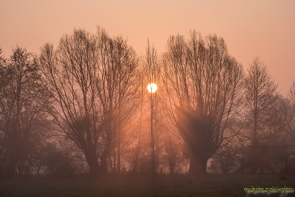 Les jumeaux estompés
