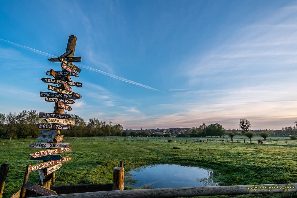 Mare prairiale désorientée