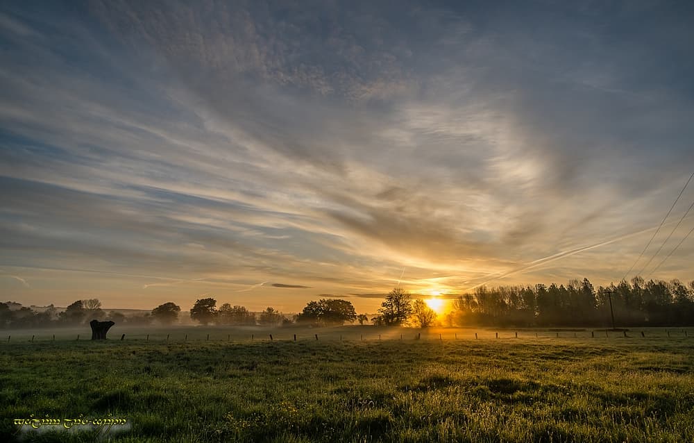 Petites flammes brumeuses