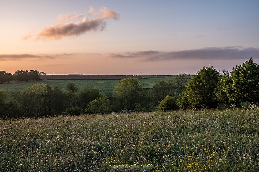 Couleurs et prairies fleuries
