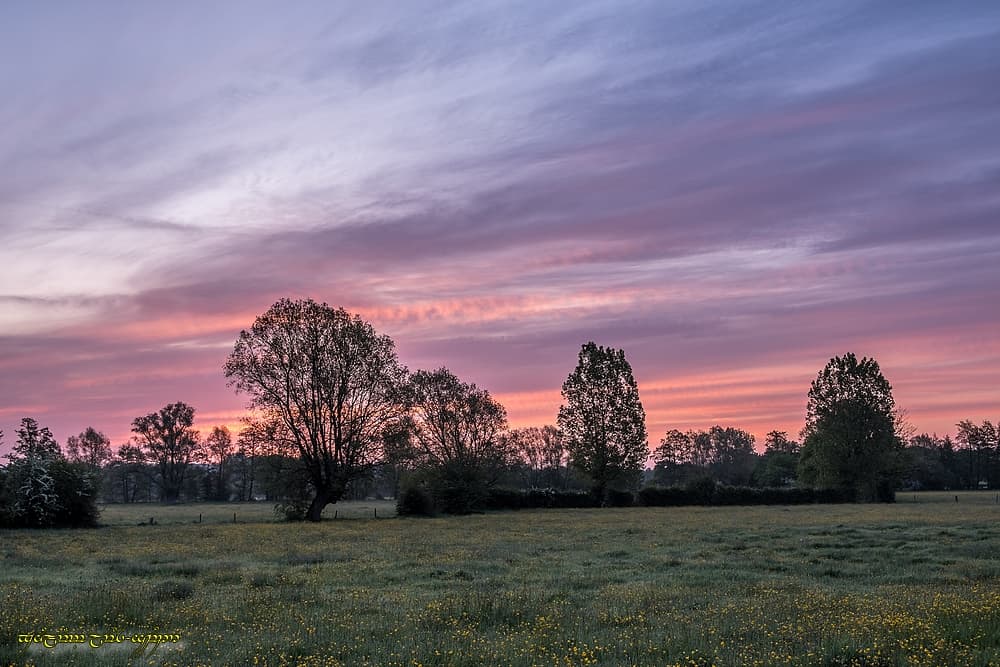 Un peu de couleur dans le voile