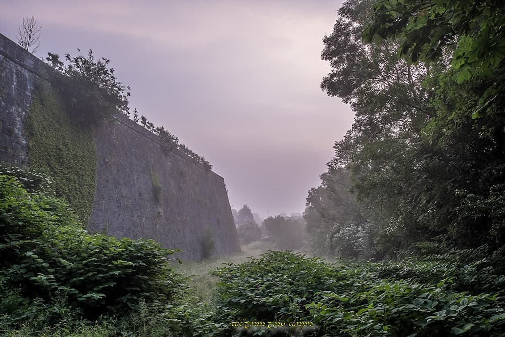 Brouillard au pied des remparts