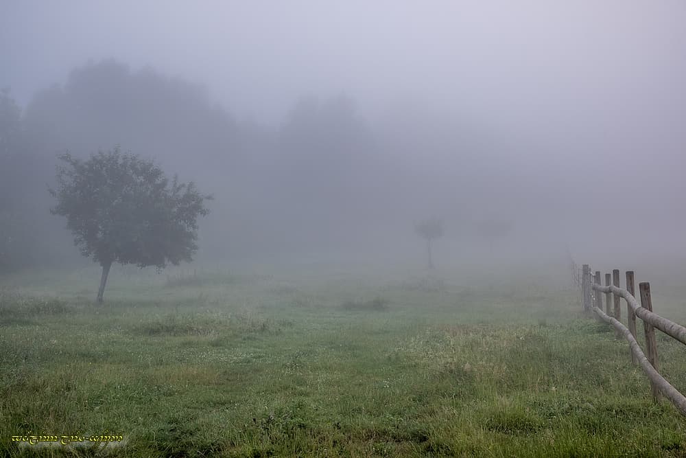 Visibilité très limitée