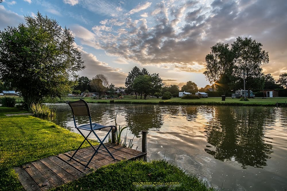 Sérénité au bord de l'étang