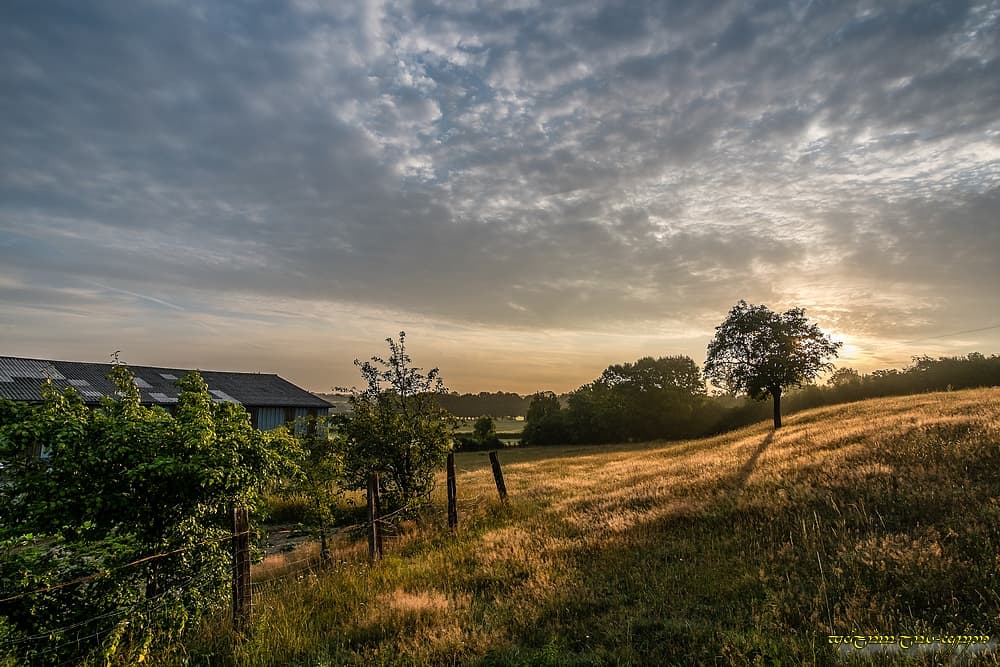 Herbe roussie, lumière rasante et menace nuageuse