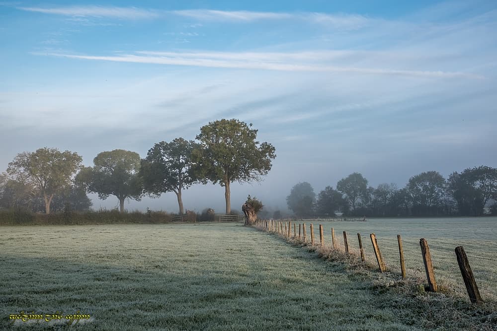 Blanc bocage