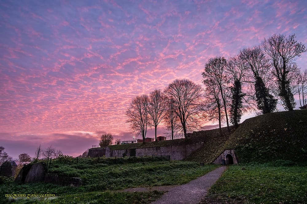 Couleurs sur les remparts