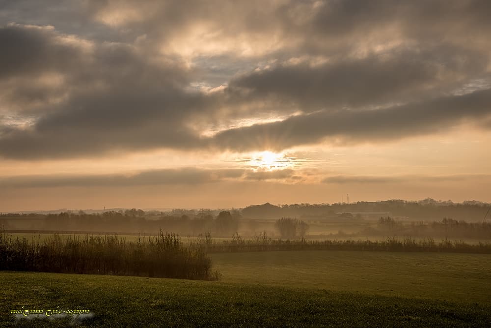 Brume dorée