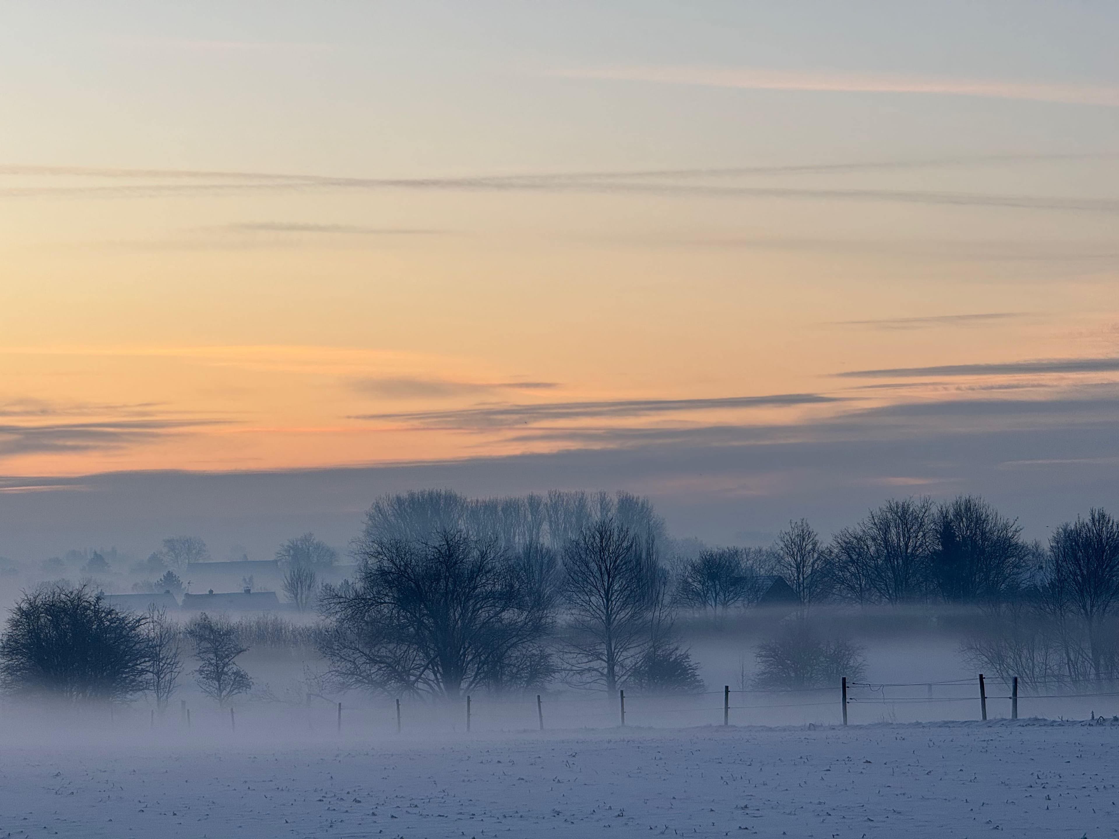 Brume matinale après la neige