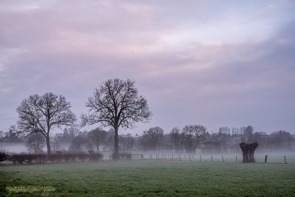 Brume et pastel