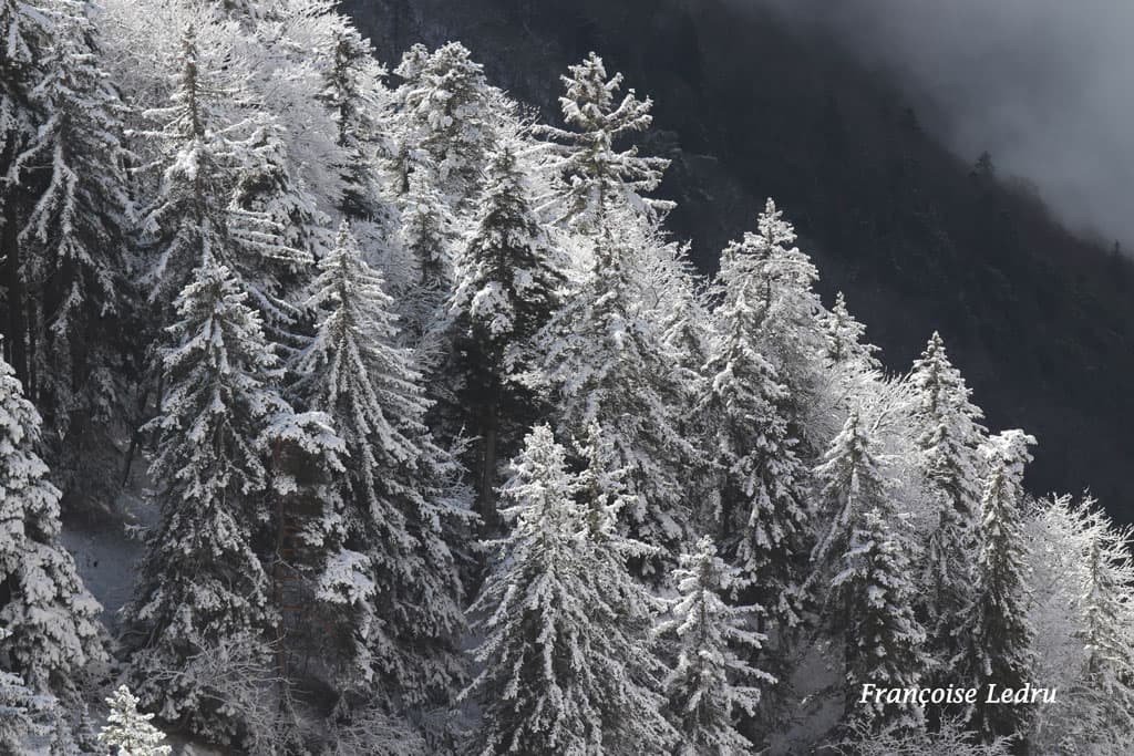 La neige est de retour en montagne