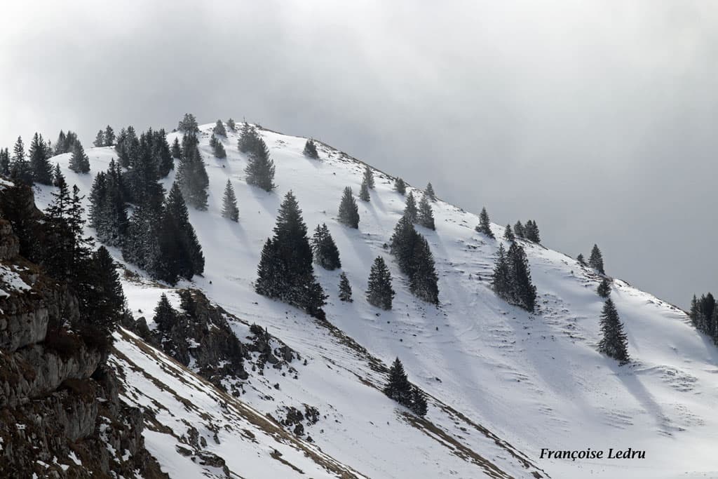 Eclaircie sur le mont Pravouta