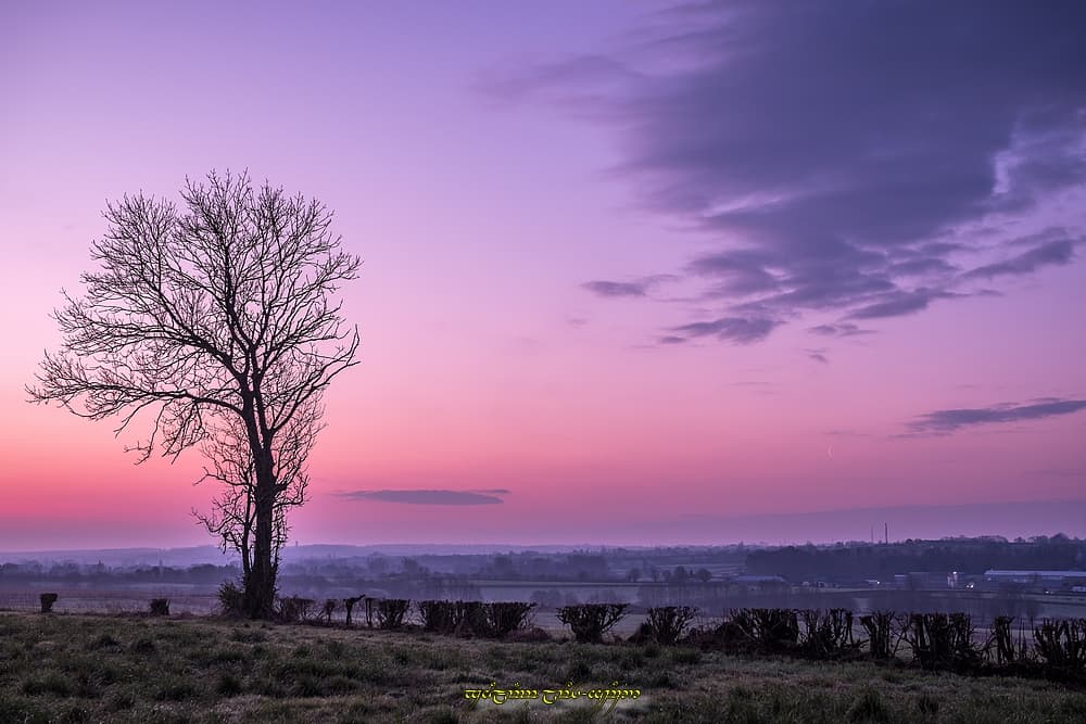 Couleurs de l'aube