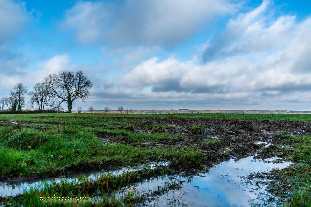 Boueux bocage