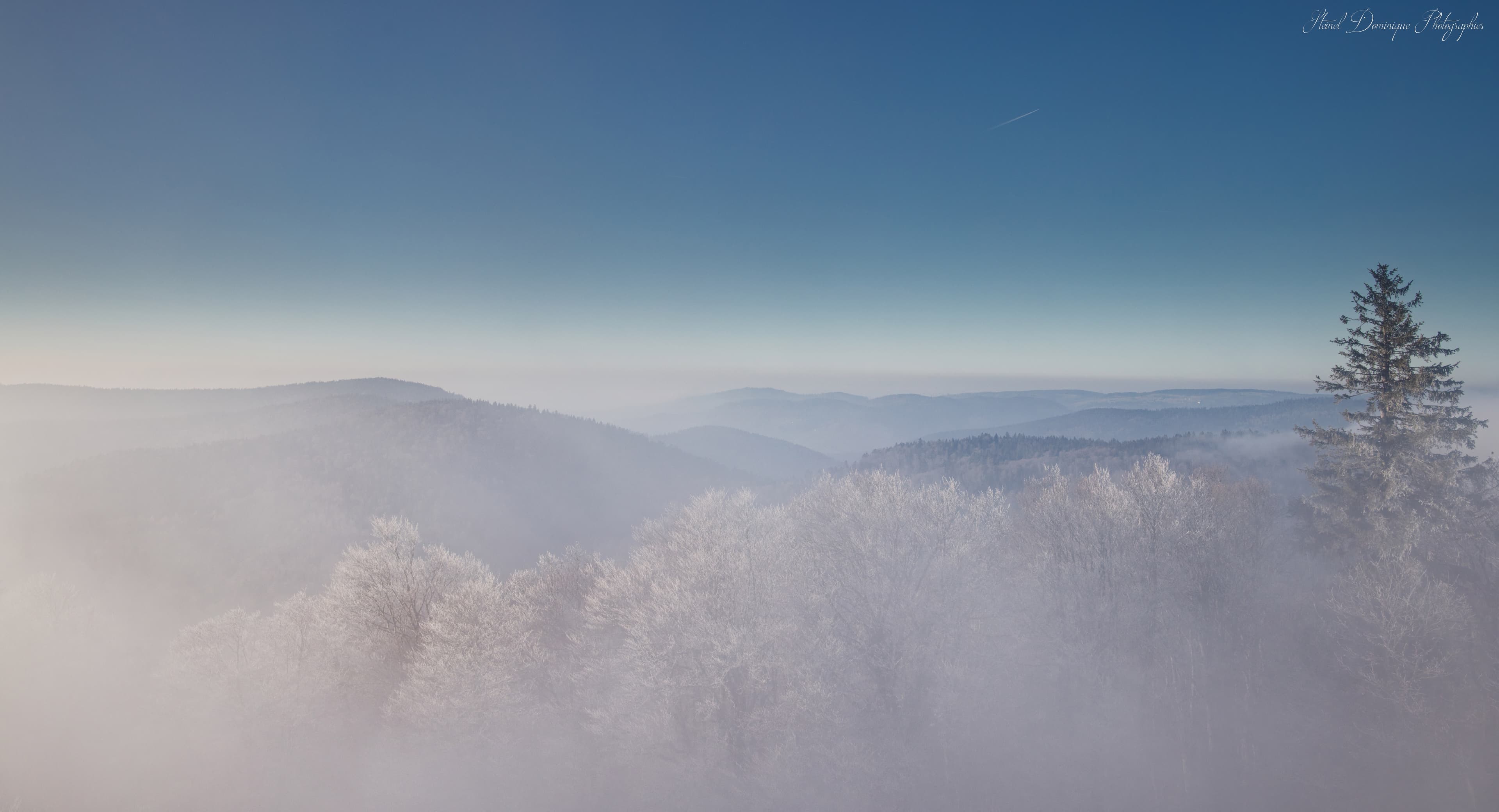 Brume sur le sommet .