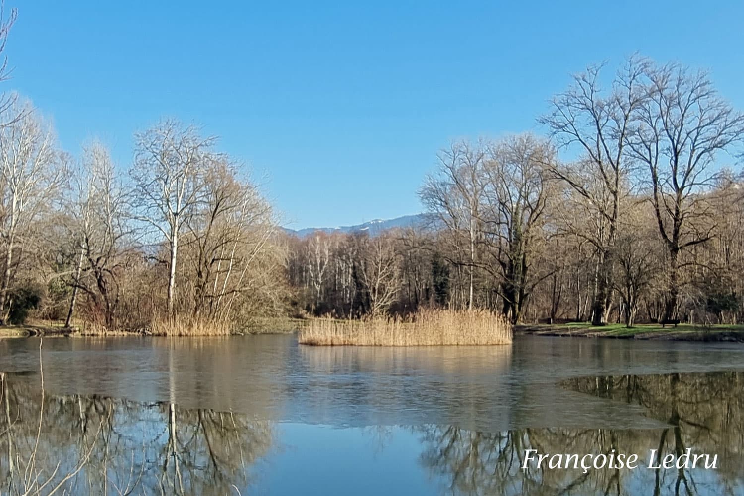 L'étang de Montfort commence à geler